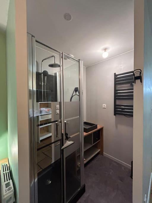 Le Cosy Balat Biel Rdc Jardin Spacieux Grisolles  المظهر الخارجي الصورة