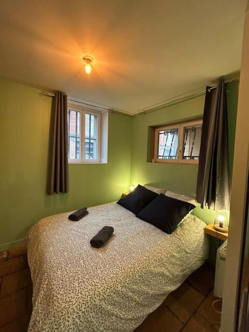 Le Cosy Balat Biel Rdc Jardin Spacieux Grisolles  المظهر الخارجي الصورة